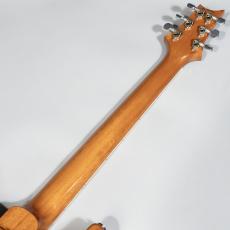 Paul Reed Smith [PRS] McCarty 594 10To_5