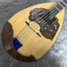 CALACE マンドラ No.13