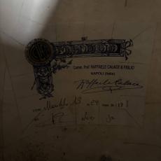 CALACE マンドラ No.13_11