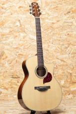 Starsun Guitars F120-GA_3