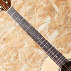 Starsun Guitars F120-GA_6