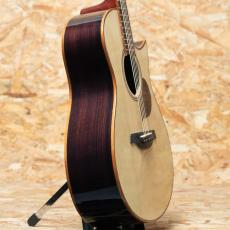 Starsun Guitars R60_4