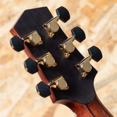 Starsun Guitars R60_9