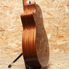 Taylor 314ce Studio Shaded Edgeburst_5