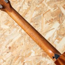 Taylor 314ce Studio Shaded Edgeburst_7