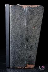 Pro Co RAT2 OP07CP_3