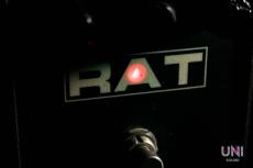 Pro Co RAT2 OP07CP_10