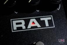 Pro Co RAT2 OP07CP_2