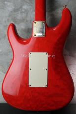 Valley Arts Custom Pro USA  Maple Body / Trans Red_5