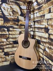 ARIA アリア Model:A-112CWE カッタウェイ エレガット 松・メイプル【日本総本店2F 在庫品】