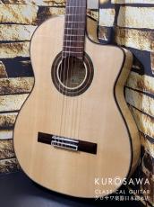 ARIA アリア Model:A-112CWE カッタウェイ エレガット 松・メイプル【日本総本店2F 在庫品】_2