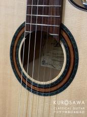 ARIA アリア Model:A-112CWE カッタウェイ エレガット 松・メイプル【日本総本店2F 在庫品】_3