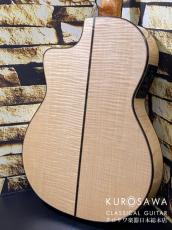 ARIA アリア Model:A-112CWE カッタウェイ エレガット 松・メイプル【日本総本店2F 在庫品】_5