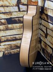 ARIA アリア Model:A-112CWE カッタウェイ エレガット 松・メイプル【日本総本店2F 在庫品】_6