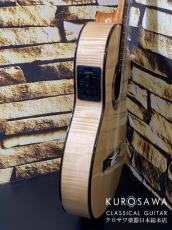 ARIA アリア Model:A-112CWE カッタウェイ エレガット 松・メイプル【日本総本店2F 在庫品】_7