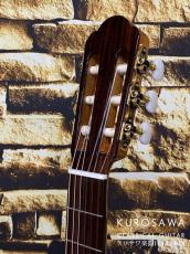 ARIA アリア Model:A-112CWE カッタウェイ エレガット 松・メイプル【日本総本店2F 在庫品】_8