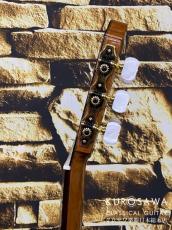 ARIA アリア Model:A-112CWE カッタウェイ エレガット 松・メイプル【日本総本店2F 在庫品】_9