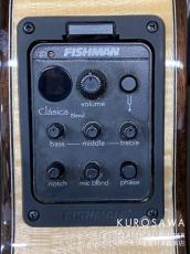 ARIA アリア Model:A-112CWE カッタウェイ エレガット 松・メイプル【日本総本店2F 在庫品】_10