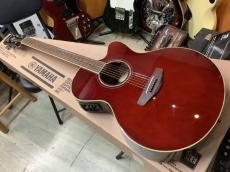 YAMAHA CPX600 RTB  (Root Beer) エレアコ