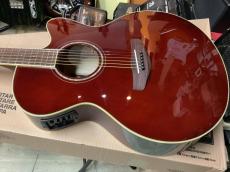 YAMAHA CPX600 RTB  (Root Beer) エレアコ_2