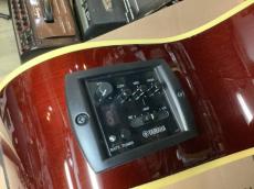 YAMAHA CPX600 RTB  (Root Beer) エレアコ_3