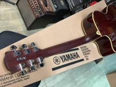 YAMAHA CPX600 RTB  (Root Beer) エレアコ_4