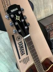 YAMAHA CPX600 RTB  (Root Beer) エレアコ_7