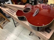 YAMAHA CPX600 RTB  (Root Beer) エレアコ_8