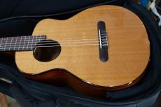 aNueNue aNN-MN14 アヌエヌエ aNNMN14 ミニナイロン マイク搭載 ミニクラシックギター_5