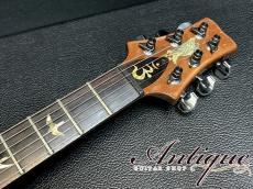 Paul Reed Smith [PRS] Santana Ⅰ 1996 Santana Yellow /Killer Figured Top /Full-Original w/OHC 3.63kg "Black Brazilian RWFB"_10