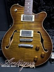 Don Grosh DG-193 Set Neck Semi-Hollow 2019 Tiger Eye Burst /Curved Top Flame Maple 3.33kg EX++ "Listed on Official HP"_2