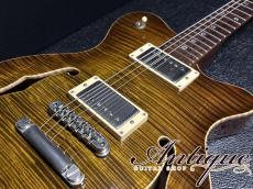 Don Grosh DG-193 Set Neck Semi-Hollow 2019 Tiger Eye Burst /Curved Top Flame Maple 3.33kg EX++ "Listed on Official HP"_7