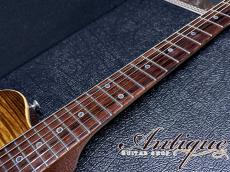 Don Grosh DG-193 Set Neck Semi-Hollow 2019 Tiger Eye Burst /Curved Top Flame Maple 3.33kg EX++ "Listed on Official HP"_8