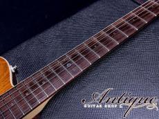 Asher Guitars Master Series T Deluxe Violin Burst /Roasted-Swamp Ash & Roasted Paulownia Body /Honduras Rock Maple Neck w/Varitone-System 2.83kg EX+++ "Rainbow Sound"_8