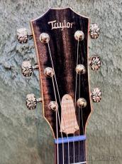 Taylor 【Hand Selected】BTO Custom GA Florentine Cutaway #13142 -Tasmanian Tiger Myrtle- #1209125087_4
