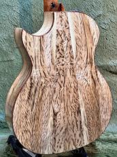 Taylor 【Hand Selected】BTO Custom GA Florentine Cutaway #13142 -Tasmanian Tiger Myrtle- #1209125087_6