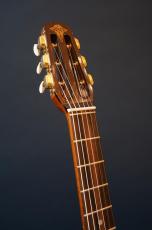 Stringphonic Advanced Oval 10th. Anniversary_5