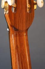 Stringphonic Advanced Oval 10th. Anniversary_7