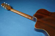 Stringphonic Advanced Oval 10th. Anniversary_10