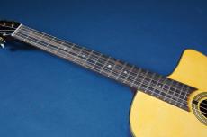 Stringphonic Advanced Oval 10th. Anniversary_11