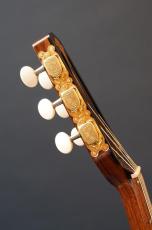 Stringphonic Advanced Oval 10th. Anniversary_12