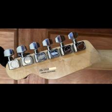 Fender American Special Telecaster_6