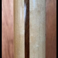 Fender American Special Telecaster_7