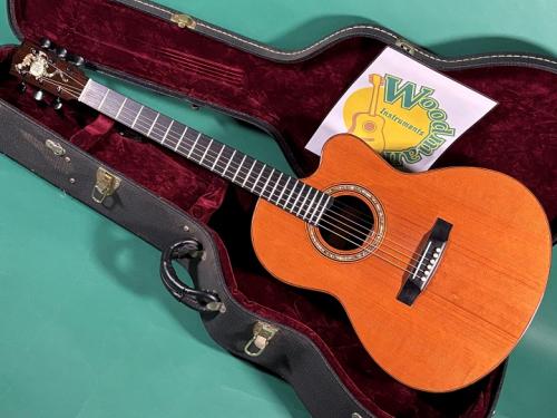 LINDA MANZER The Manzer Cutaway