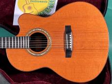 LINDA MANZER The Manzer Cutaway_2