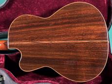 LINDA MANZER The Manzer Cutaway_3