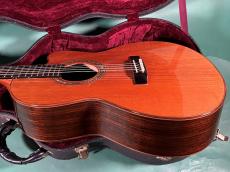 LINDA MANZER The Manzer Cutaway_4