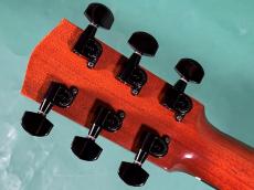 LINDA MANZER The Manzer Cutaway_6