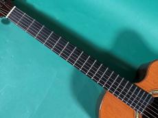 LINDA MANZER The Manzer Cutaway_7