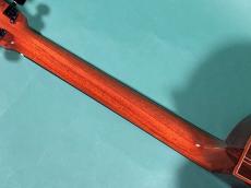 LINDA MANZER The Manzer Cutaway_8